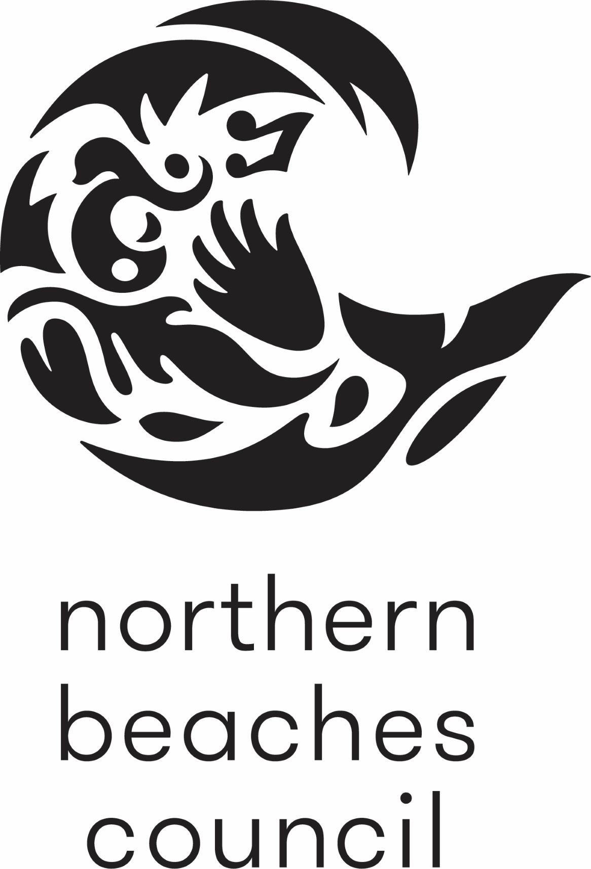 northern beahc scouncils